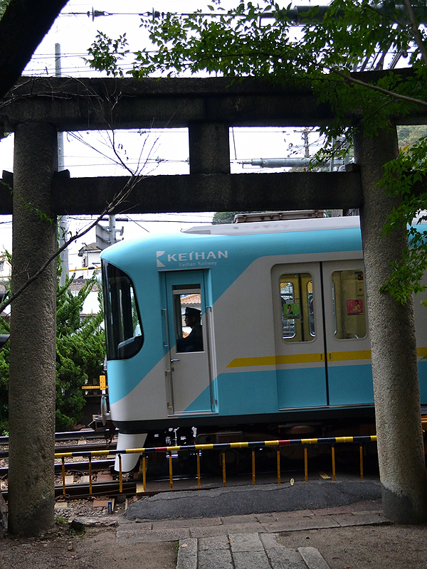 マイクロエース 京阪800系 旧塗装旧マーク 購入: シナイからの